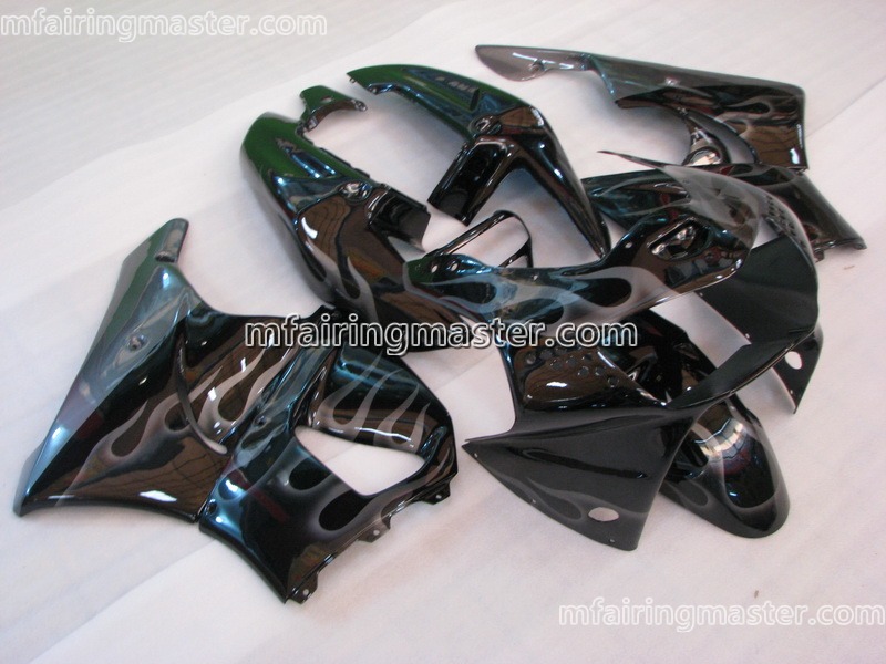 (image for) Fit for Honda CBR900RR 919 1998 1999 fairing kit Smoking flames black