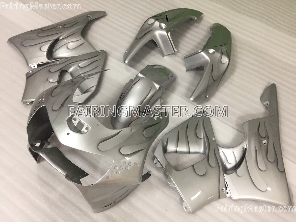 (image for) Handcrafted compression molding fairing kits fit for honda CBR900RR 919 1998 1999 155