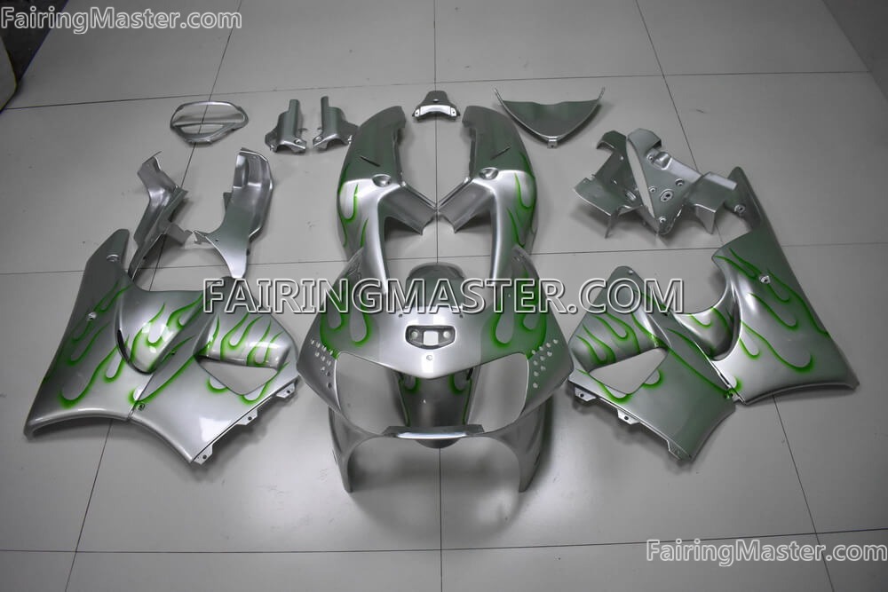 (image for) Handcrafted compression molding fairing kits fit for honda CBR900RR 919 1998 1999 163 - Click Image to Close