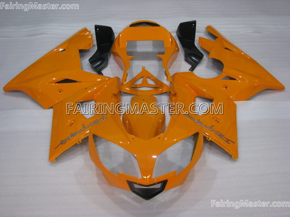 (image for) Handcrafted compression molding fairing kits fit for Triumph daytona 600 650 2003 - 2005 108