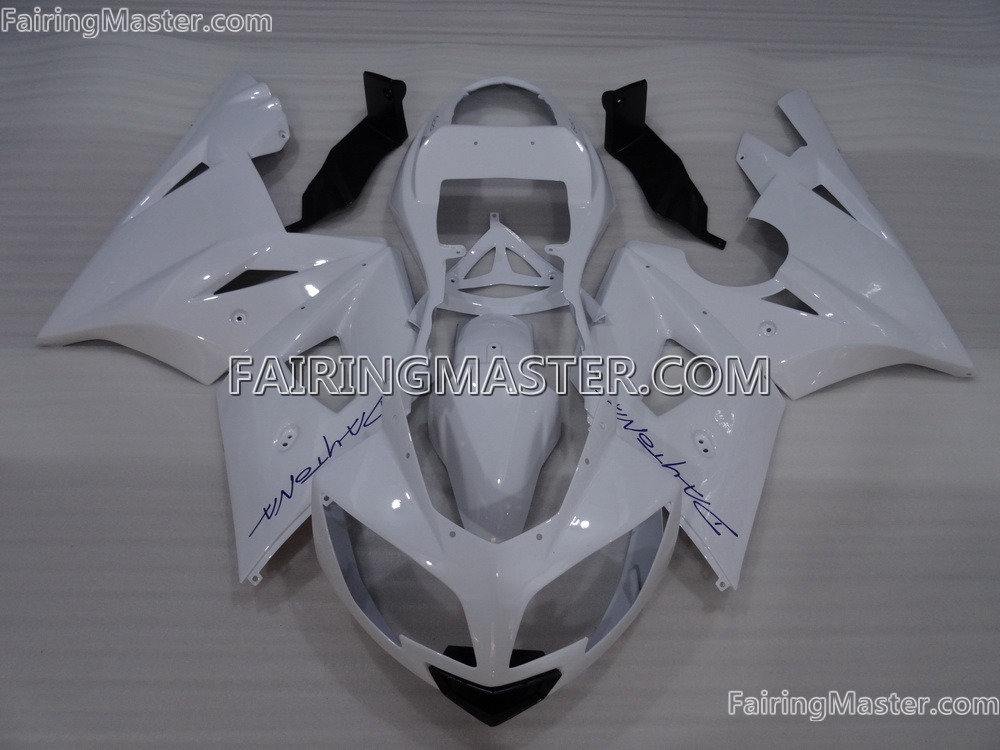 (image for) Handcrafted compression molding fairing kits fit for Triumph daytona 600 650 2003 - 2005 109